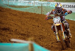 非洲杯冠军一览表图片，非洲杯2021冠军？